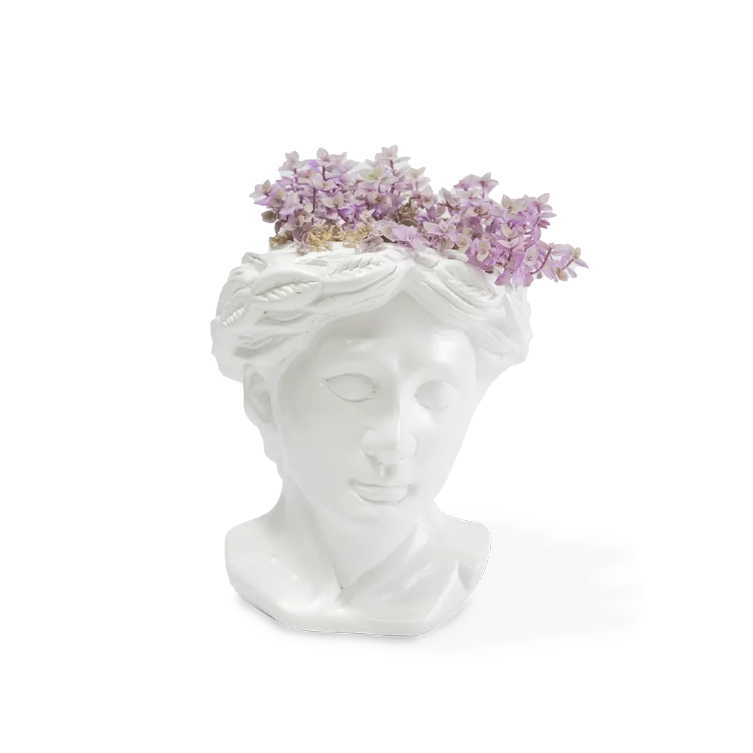 Calisia de venus