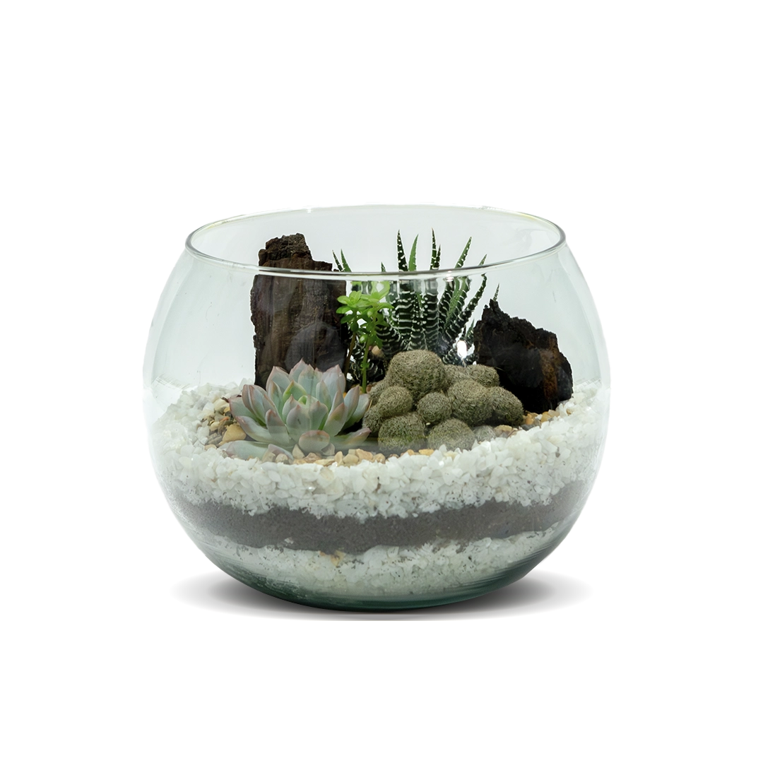 Terrario desierto en cristal