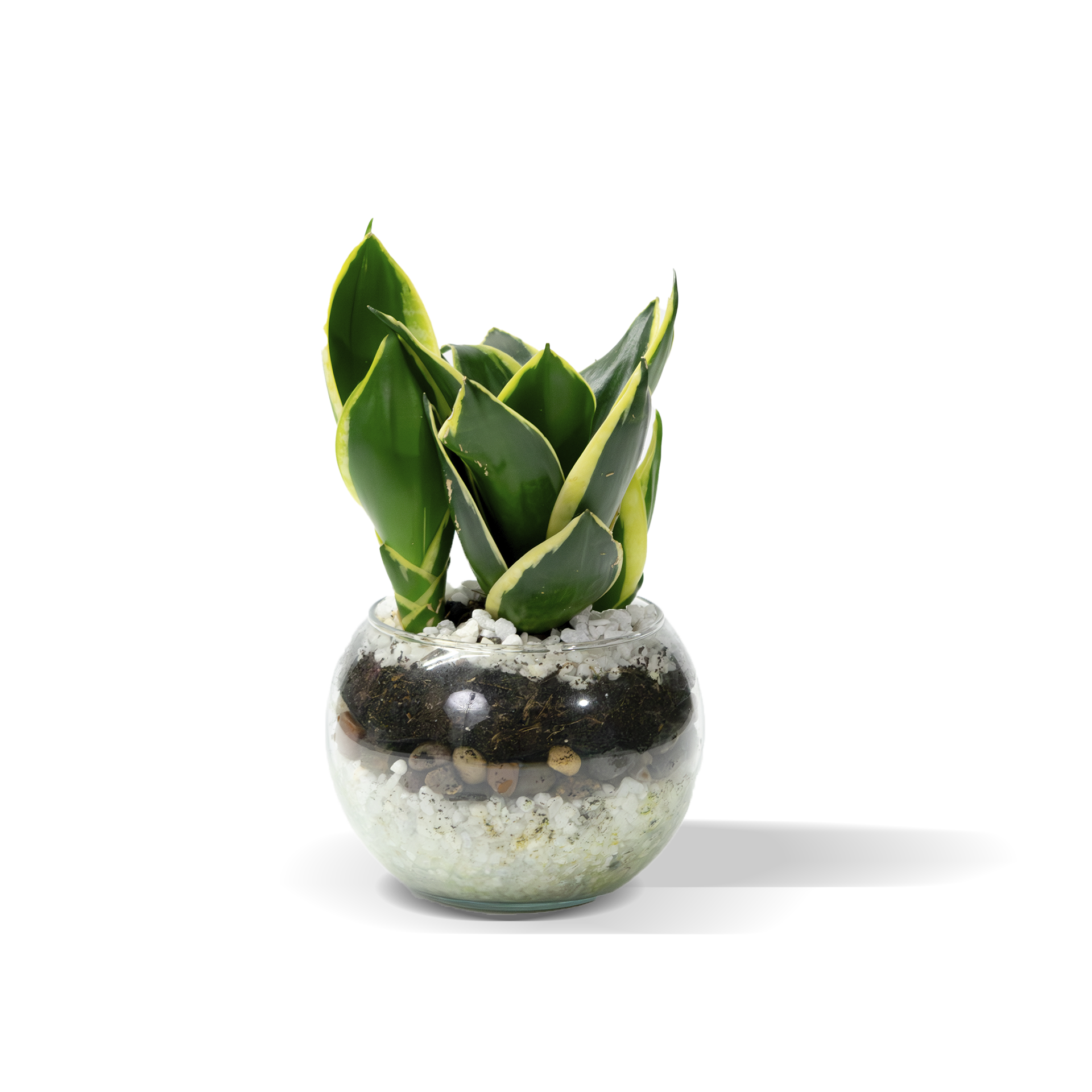 Jardin de la abundancia